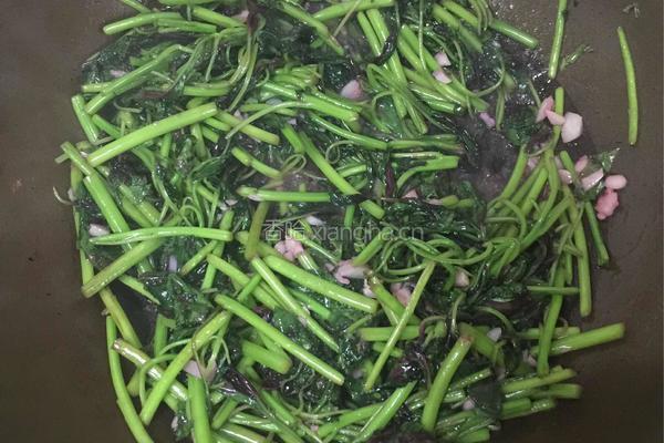 蒜蓉苋菜的做法图解8