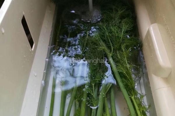 茴香饺子的做法图解2
