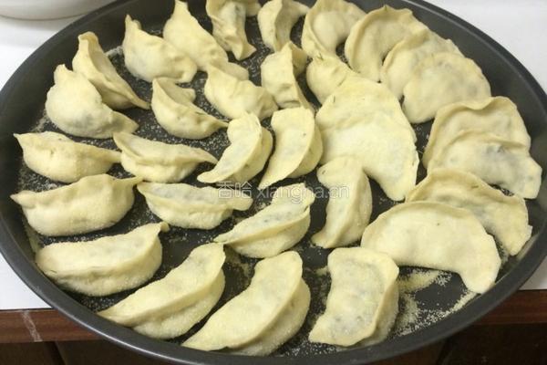 手工饺子之和面的做法图解7
