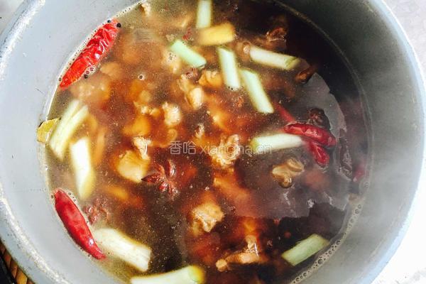 红烧牛肉的做法图解17