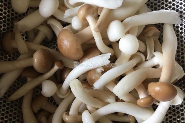 蘑菇牛排饭的做法图解2