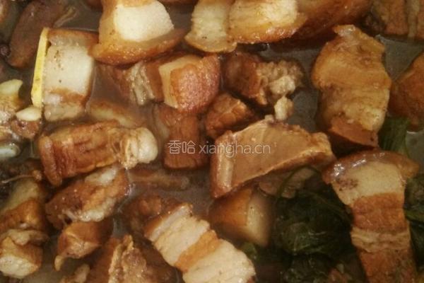 红烧五花肉的做法图解6