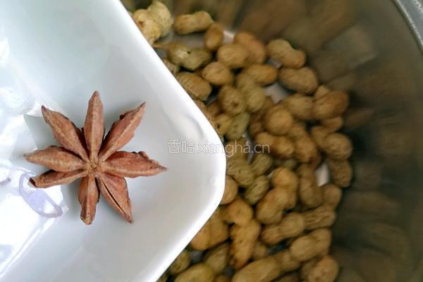 大料盐水花生的做法图解4