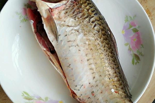 鲫鱼豆腐汤的做法图解3