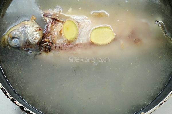 鲫鱼豆腐汤的做法图解7