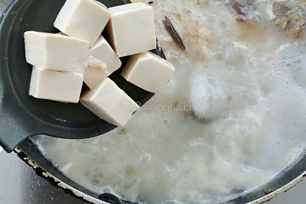 鲫鱼豆腐汤的做法图解8