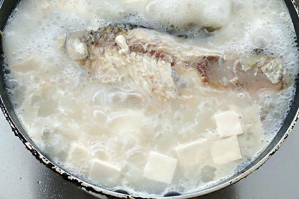 鲫鱼豆腐汤的做法图解9