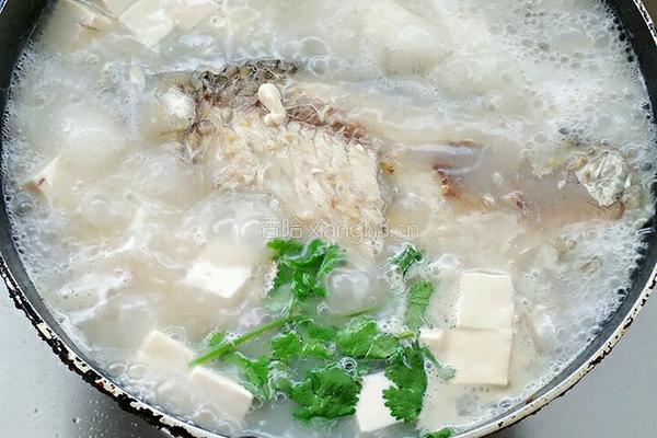 鲫鱼豆腐汤的做法图解10