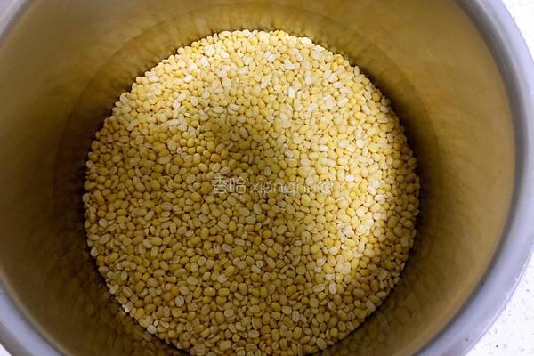 绿豆冰糕的做法图解2