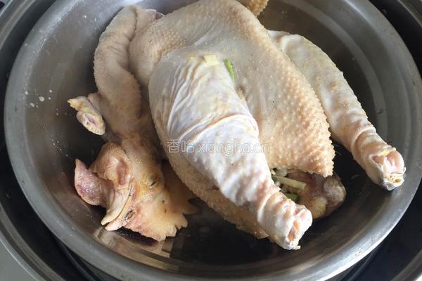 葱油鸡的做法图解6
