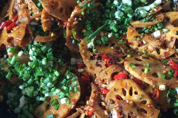 豆豉酸辣藕片的做法图解6