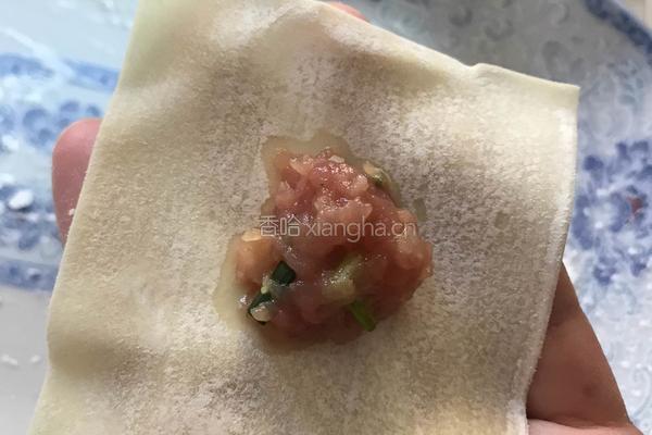 鲜肉馄饨(早饭、点心均可)的做法图解5
