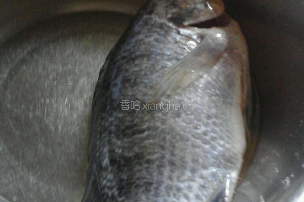 豆鼓鱼的做法图解2