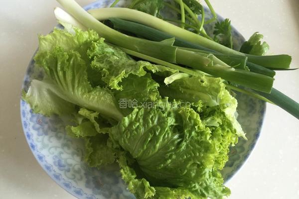 墨西哥卷饼的做法图解4