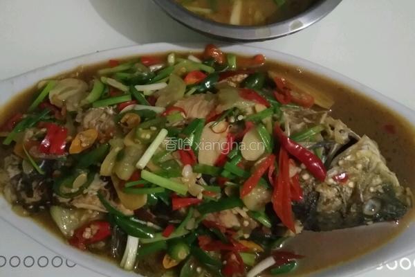 红烧鲤鱼的做法图解12