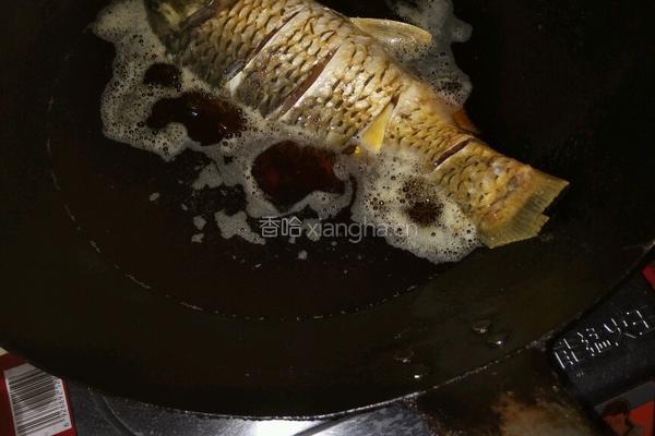 红烧鲤鱼的做法图解6