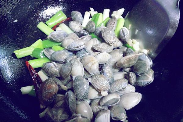 炒花蛤的做法图解5