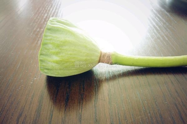 莲蓬馒头的做法图解5