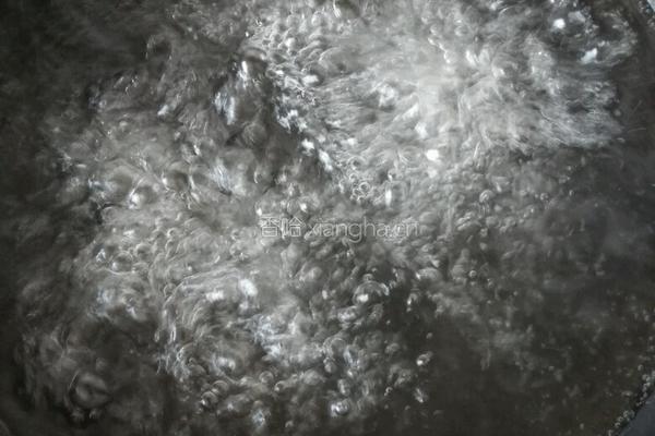 番茄烧豆腐的做法图解4