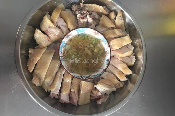 蘇氏白切鸡的做法图解6