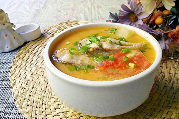 土豆番茄炖鱼汤的做法图解13