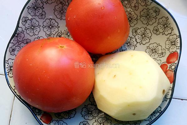 土豆番茄炖鱼汤的做法图解3