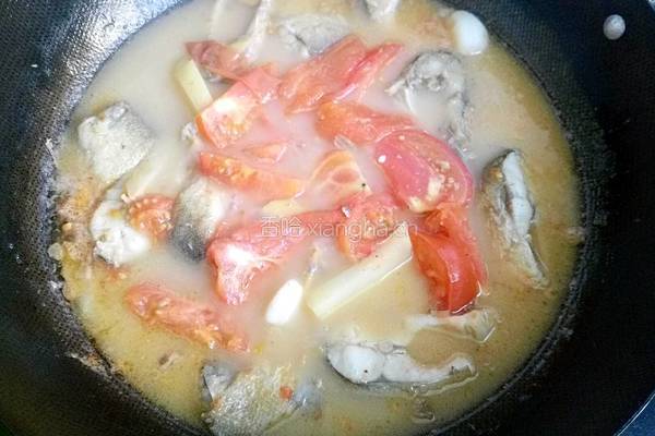 土豆番茄炖鱼汤的做法图解12