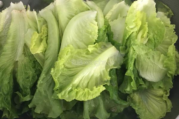 酱汁生菜的做法图解3