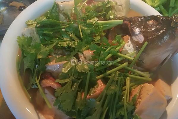 侉炖鱼（家常做法豆腐粉条侉炖鱼）的做法图解10