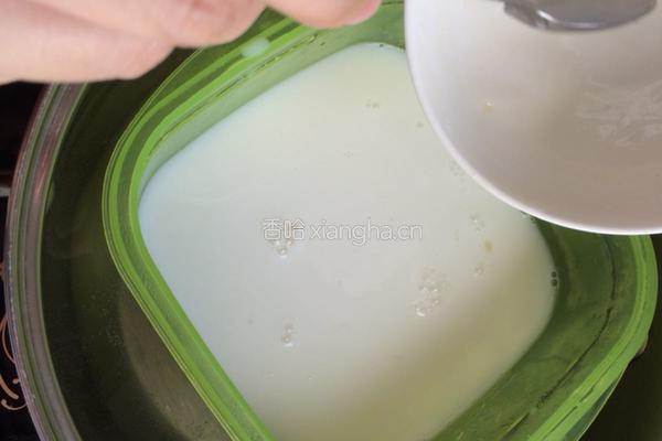 椰奶布丁的做法图解4