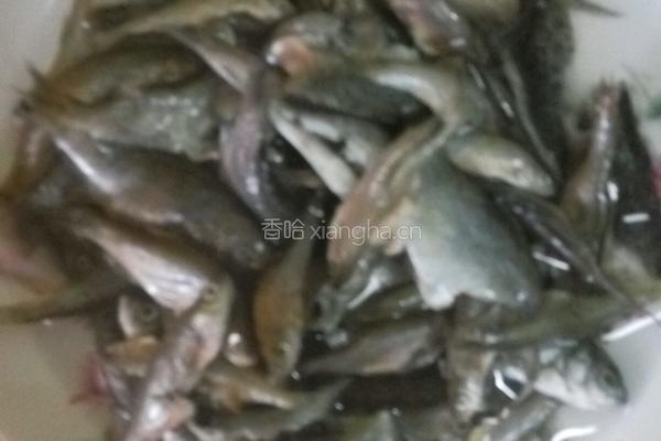 小鱼酱的做法图解1