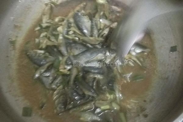 小鱼酱的做法图解8