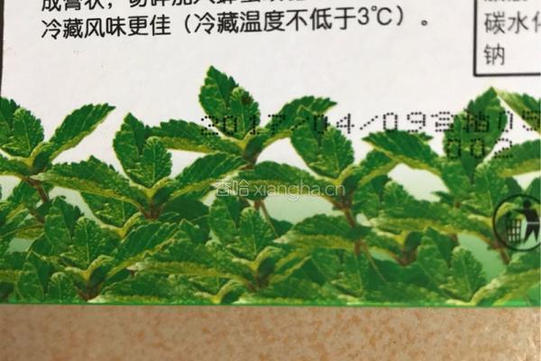 凉粉（草粿）的做法图解3