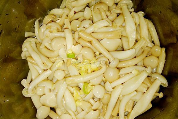 凉拌白玉菇的做法图解7