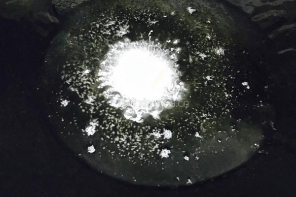 香煎白肚石头斑的做法图解5