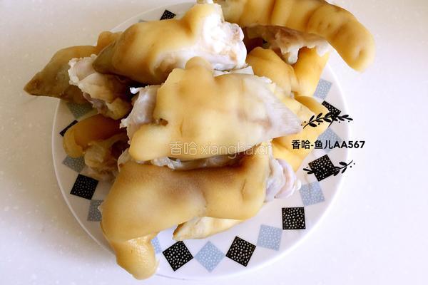 蹄花冻的做法图解4