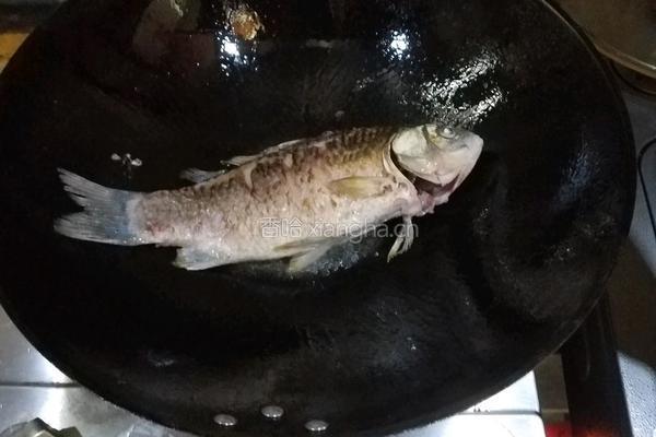 松茸鲫鱼豆腐汤的做法图解1