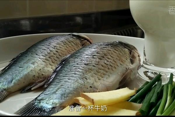 木瓜奶汁鲫鱼汤的做法图解1