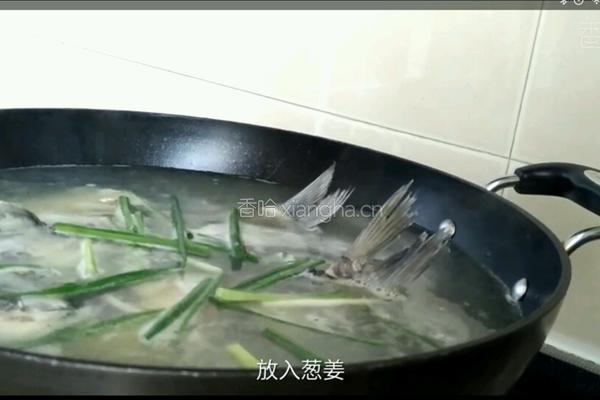木瓜奶汁鲫鱼汤的做法图解4