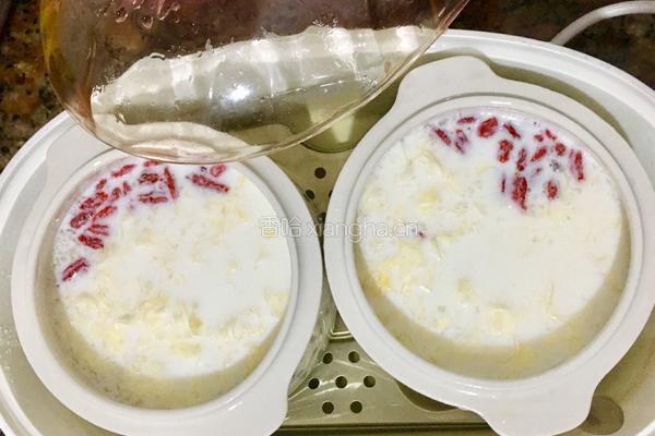 雪燕桃胶炖牛奶的做法图解5