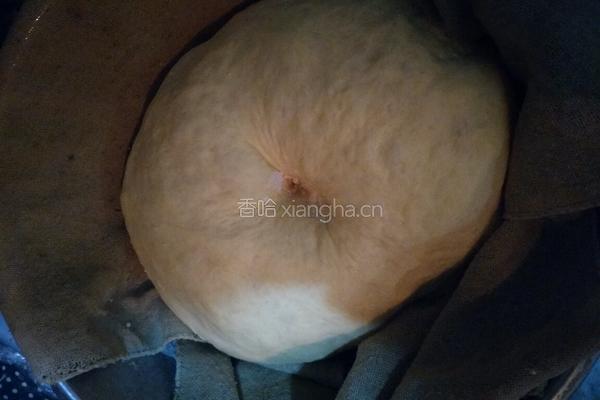 无油南瓜小餐包的做法图解10