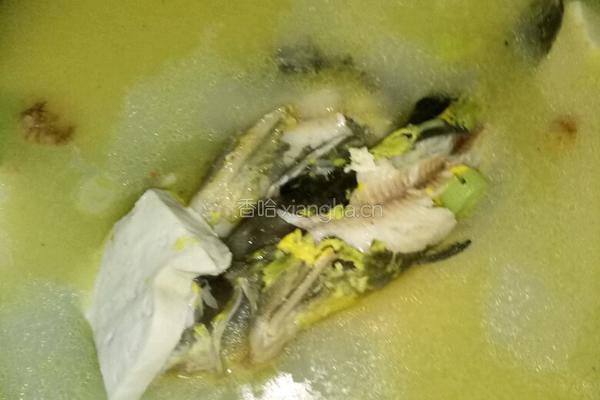 黄骨鱼豆腐汤的做法图解6