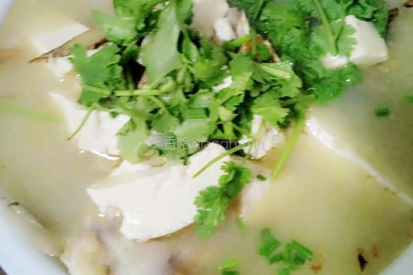 鱼头豆腐汤的做法图解6