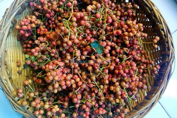 自制花椒油的做法图解2