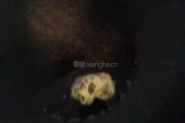 梅菜肉丁的做法图解5