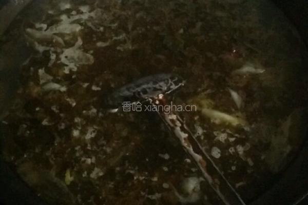 家常酸菜鱼的做法图解9