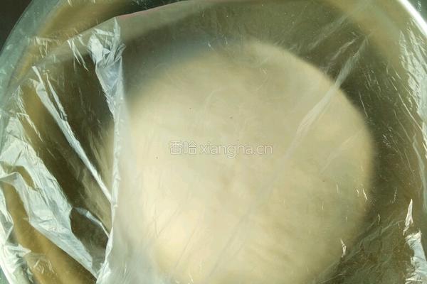 低脂无糖奶盐苏打饼干(30个左右)的做法图解3