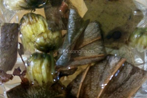 菊花甘草荷叶茶（解毒茶）的做法图解5