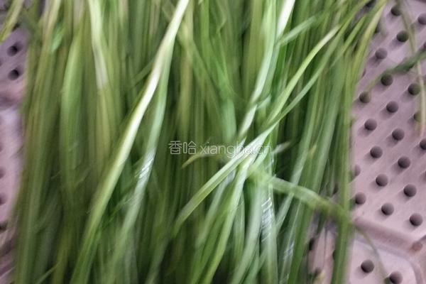 素三鲜馅饺子的做法图解1