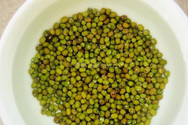 莲藕绿豆排骨汤的做法图解2
